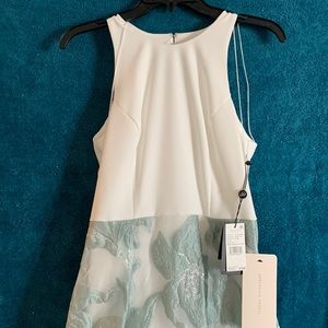 Adrianna Papell Midi Dress